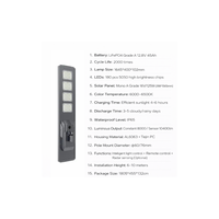 Lampadaire solaire LED intégré étanche IP65 400W avec batterie LiFePO4 pour usage routier, jardin et aménagement paysager