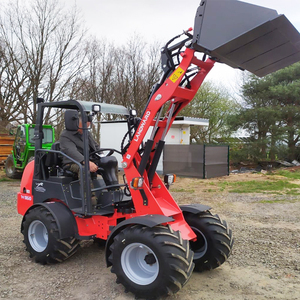 Chargeuse-<span class=keywords><strong>pelleteuse</strong></span> diesel multifonctionnelle neuve de marque Kubota, style européen, conforme EPA, à vendre - Product Image 5