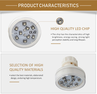 Lampe décorative LED à pixels 45 mm AC24V automatique pour cabochon, IP65, pour parcs à thème, vente directe usine