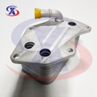 Enfriador de Aceite de Motor para VWs Jettas Beetles 2.5 07K117021B 07K117021C