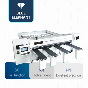 China top 1 Computer Controlled Fence Moving Digital Automatic Precision Wood Cutting Sliding Table Panel Saw for sale