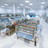 Automatische aardbeienwasmachine met continue doorstroming, 500 kg/uur, voor de verwerking van diepvriesaardbeien.