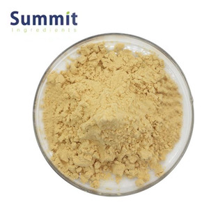 オレウロペイン粉末純粋な天然オリーブ葉エキス粉末70% オレウロペイン - Product Image 2