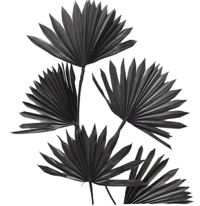 Hoja de Palma Seca, Ecológica, Teñida Naturalmente, Flor Preservada, Decoración para el Hogar, Boda, Pascua, Halloween, Día de la Madre, Día de San Valentín - Product Image 1