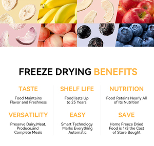 Déshydrateur domestique 4 plateaux à économie d'énergie pour la transformation alimentaire (bonbons, fruits, légumes, viande, fruits <span class=keywords><strong>de</strong></span> <span class=keywords><strong>mer</strong></span>) certifié CE - Product Image 3