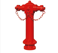 Hydrant d'incendie à colonne bidirectionnel en fonte 4'' 6'' avec prix