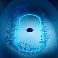 Baignoire Spa Moderne en Acrylique, Design Écologique, Système de Température Constante, Bain à Bulles, Haut-parleur Bluetooth