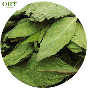 Hojas de Menta Silvestre Orgánica Saludable, Hojas de Menta Verde, Menta Piperita, Hojas de Menta de Invierno para Té Adelgazante - Product Image 1