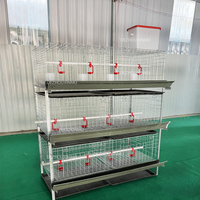 Cage à poulets de chair multi-niveaux de type H, capacité 60/80 poulets, cage de ferme galvanisée pour poulets de chair à vendre