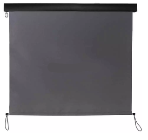 개인 정보 보호 화면 고품질 음영 장비 측면 발코니 차양 드롭 다운 스크린 작동 롤 태양 그늘 - Product Image 2