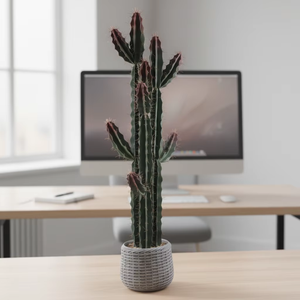 Planta Artificial de Cacto em Vaso, Simulação de Suculenta para Decoração Interna de Casa e Escritório, Ornamento de Mesa com Vaso Trançado - Product Image 6