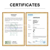 Populaire en Europe et en Amérique, pailles à boire en bagasse de canne à sucre compostables sans PLA, biodégradables, 6 mm, 8 mm, 12 mm