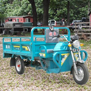 Commercio all'ingrosso WF1500DZH adulti Cargo 70 KM Open <span class=keywords><strong>3</strong></span> ruote moto motorizzato triciclo elettrico 400kg carico utile 1 passeggero - Product Image 3