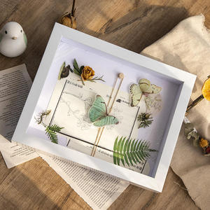 Caja de Exhibición de Madera Natural para Especímenes de Mariposas, Personalizable OEM/ODM, Marco Botánico de Marca Privada para Venta al Por Mayor - Product Image 5