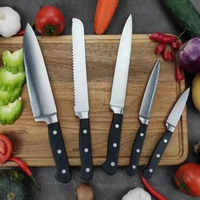 Geカスタマイズde huishoudelijke koksmessen, broodmes, fruitmes, 5-delige set met kunststof handvat