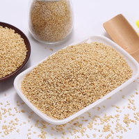 Semillas de Sésamo Amarillo Naturales, Horneadas y Secas, de Alta Calidad, 100% Puras, Opción Picante, Origen Shandong, China, Exportación al por Mayor