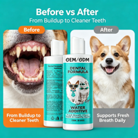 Additif pour l'eau dentaire pour chiens/chats OEM/ODM – Nettoie les dents, gencives saines, haleine fraîche, réduit la plaque et le tartre, enrichi en zinc