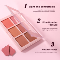 Palette de fard à joues et de contouring mat 6 couleurs, hautement pigmentée, kit de maquillage naturel pour le visage, pour débutants, voyage, usage quotidien