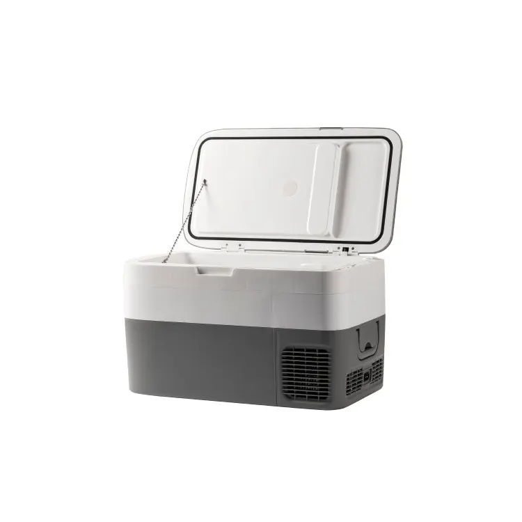 Fornitori cinesi piccolo frigo Mini frigorifero portatile portatile propano campeggio frigorifero portatile portatile