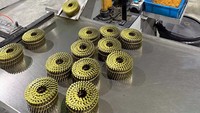 Coil Nails, Wire Coil Nails for Construction