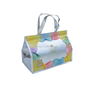 Barrera <span class=keywords><strong>de</strong></span> reflexión para Picnic, <span class=keywords><strong>bolsa</strong></span> térmica <span class=keywords><strong>de</strong></span> aislamiento <span class=keywords><strong>de</strong></span> calor, frío, 6 latas - Product Image 6