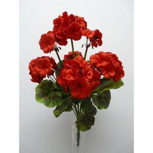 GERANEO BUSH X9 47CM RD C/VASO - Product Image 1