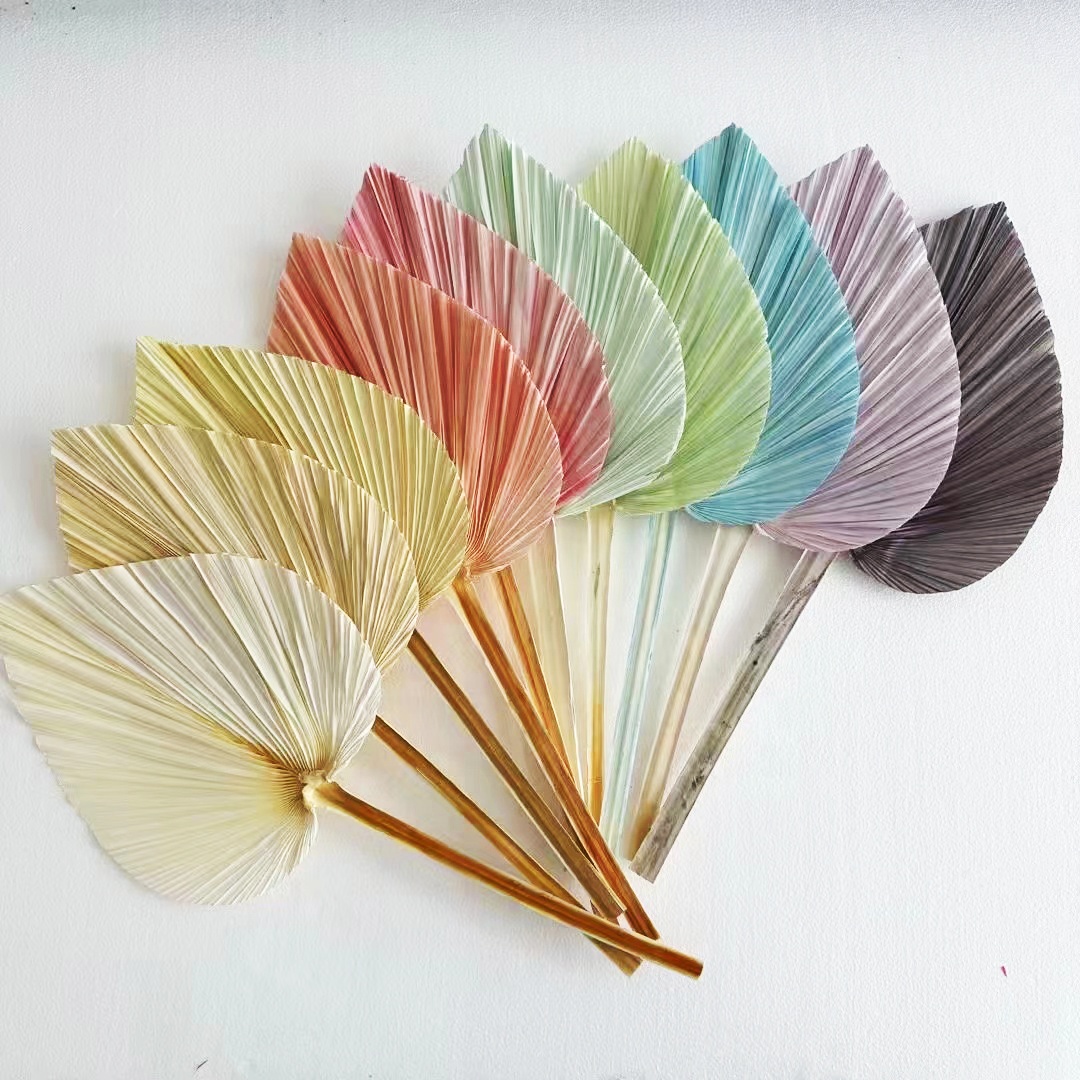 MC Palm Leaves Großhandel maßge schneiderte bunte echte natürliche getrocknete Blume Palm blatt für Home Wedding Decoration