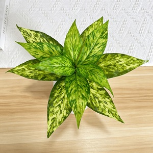 Planta Artificial de Hojas Brasileñas Meng Jie de 30cm-100cm, Decoración de Interiores, Planta en Maceta - Product Image 2