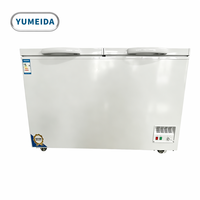 Congélateur coffre commercial autonome 385L, température unique, refroidissement direct, acier inoxydable, 2 portes, pour la conservation de viande fraîche et de fruits de mer