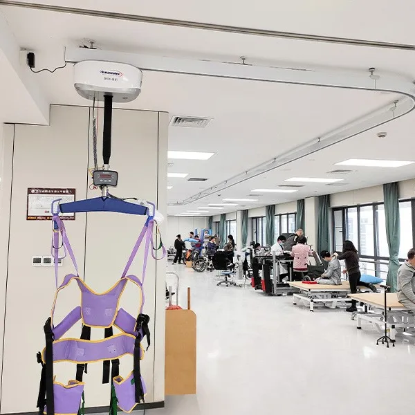 Dispositif motorisé de transfert patient de fronde d'ascenseurs de plafond pour la formation handicapée de réadaptation