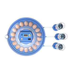 Incubateurs à œufs pour 62 œufs avec retourneur automatique, contrôle automatique de la température, petit incubateur numérique pour poulets et oiseaux - Product Image 4