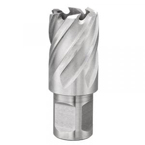 เครื่องตัดหลุมเฟอร์ F011/38อเนกประสงค์พร้อมก้านเชื่อม850n/มม. ² hss-EAN 8012667291945บิตเจาะรูเลื่อยและ arbors - Product Image 1