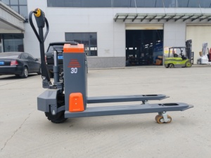 Transpalette Électrique 2T Alimenté par Batterie Plomb-Acide Mât Monotiges Utilisation Intérieure Usine de Fabrication - Product Image 6