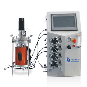 Sistema de Fermentación Biológica de Vidrio Laboao, Biorreactor para Cultivo de Células de Mamíferos e Insectos, 1L-15L - Product Image 2