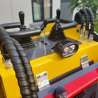 Mini-chargeuse compacte sur roues S370 équipée d'un moteur à essence Rato, capacité de la benne de 0,07 m³, haute efficacité, petite machinerie