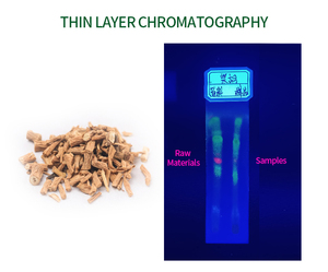 Poudre de racine de Bupleurum (Chai <span class=keywords><strong>Hu</strong></span>) à base de plantes chinoises, extrait de racine de Bupleurum, saikosaponines - Product Image 2
