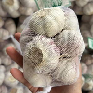 Chino 2025 Nuevo cultivo Ajo fresco Fabricante de verduras orgánicas Mejor <span class=keywords><strong>precio</strong></span> Ajo blanco normal y blanco puro <span class=keywords><strong>Ajos</strong></span> Ail Prix - Product Image 4