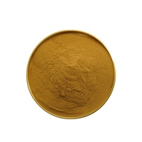 Extrait de Champignon Crinière de Lion 10% 30% Polysaccharides Hericium Erinaceus Séché / Poudre d'Extrait de Corps Fruitant de Champignon Crinière de Lion