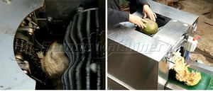 Nueva Máquina Peladora y Descascaradora de Coco con Motor - Product Image 2