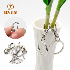 Custom Metal Carabiner Keychain Zinc Alloy Round Fashion Hard Wearing Waist Keychain Key <b>Ring</b> Dog <b>Clip</b> Toy Gift Hook Accessory - Product Image 1