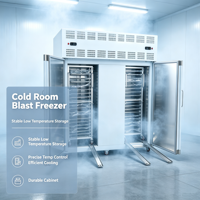 Vleesverwerkingsmachine Dubbele Deur Blast Freezer -45 ℃   Luchtkoelingschakel voor diepgaande verwerking van kip en varkensvlees in een diepvriesinstallatie