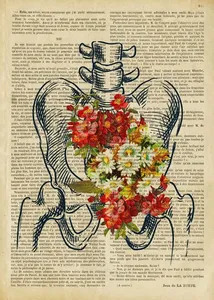Affiche d'anatomie humaine vintage impression fleurs médicale mur photo <span class=keywords><strong>coeur</strong></span> cerveau anatomie toile peinture pour hôpital clinique décor - Product Image 5