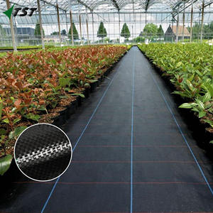 <span class=keywords><strong>Malla</strong></span> Anti-Malezas Verde 2 x 100 m, 105 g/m², Geotextil Transpirable y Permeable al Agua, Protección Contra Malezas - Product Image 4