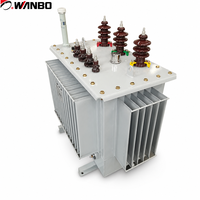 Transformateur de puissance immergé dans l'huile Wanbo-486 S20 à noyau en alliage amorphe, à perte ultra-faible, avec enroulement en cuivre ONAN, 10kV 35kV