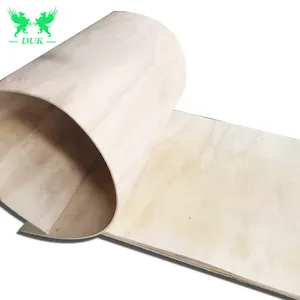 高品質の家具用のNational Carbonized Bendable Plywood