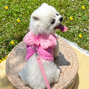 Harnais pour chien et chat Angel Princess, rose, respirant, léger, pour petits et moyens animaux - Product Image 4