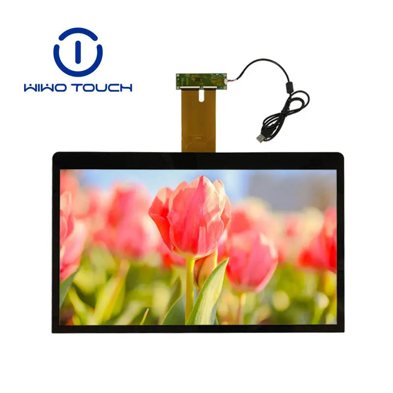 23 "CTP usb ILI2510 pannello touch personalizzato oem 23 pollici capacitivo touch panel screen