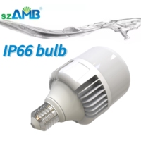 Lampe LED pour poulailler rouge/blanc, dimmable 0-100%, 2700K-6500K, étanche IP66, sans scintillement, ampoule pour poulets, garantie 5 ans