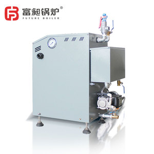 Chaudière à vapeur verticale électrique 12 kW homologuée CE, peu encombrante, pour un approvisionnement fiable en vapeur, systèmes de lavage commerciaux, marchés européens - Product Image 4