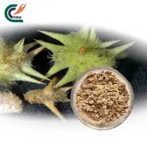 Tribulus terrestris extract powder Saponin 45%